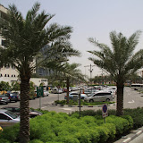 IMG_4555.JPG