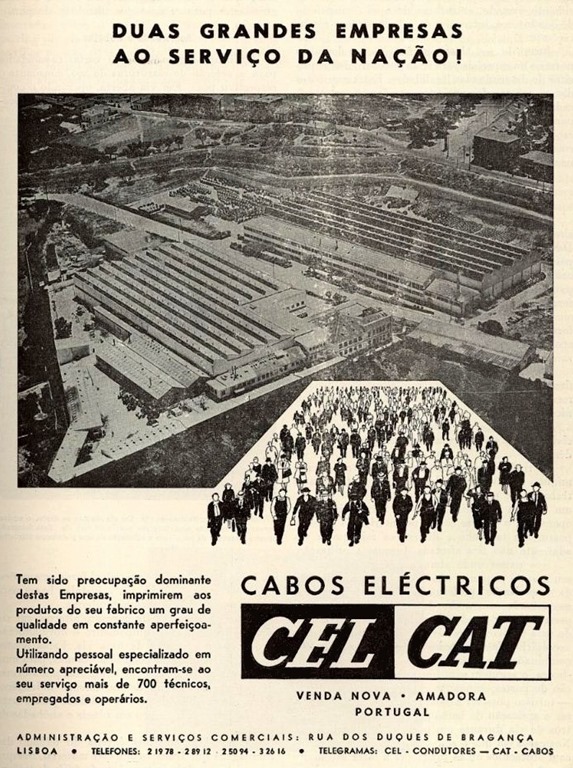 [1961-Cel-Cat4.jpg]