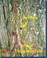 images (9) images (9)