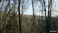 2011-03-13_17-39-17_848.jpg