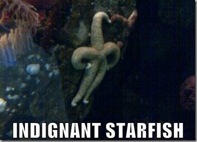 Indignant starfish