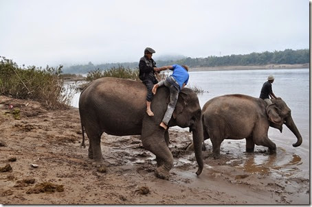 Laos Luang Prabang Elephant mahout course 140202_0021