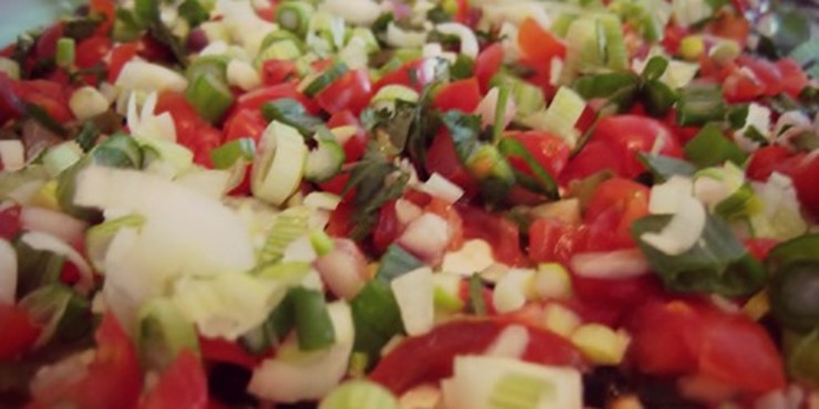 picodegallo picodegallo