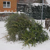 Tannenbaumaktion10094.jpg