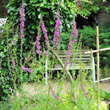 bloemen 2 006.jpg