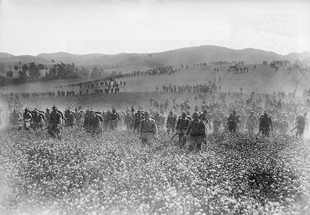 [FlandersAugust19140014.jpg]