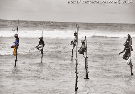 Stilt fishing Stilt fishing