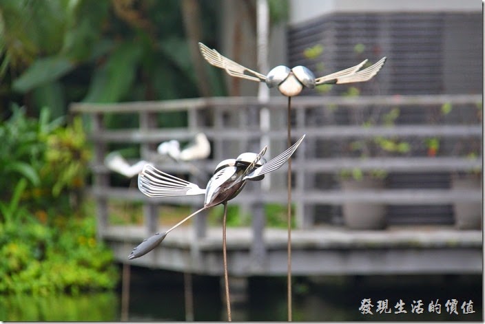 台南-白台南安平-白鷺灣 蜷尾家 經典冰淇淋。白鷺灣社區的門前有個小水池，上面有些蜻蜓飛舞。