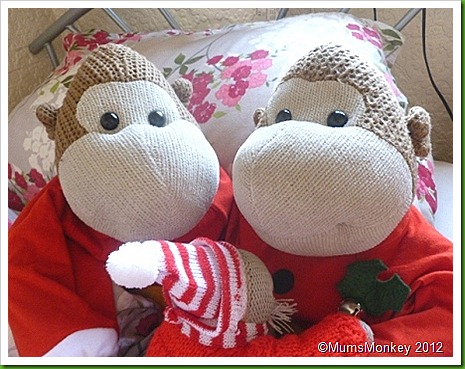 Holly Jingle Bells Holly Jingle Bells