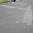 DSCN7564.JPG