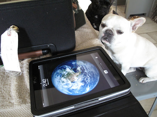 This is her iPad - I don't know if you can use the 3G aspect of it in Turkey, but she may want to use it for reading books and other applications.