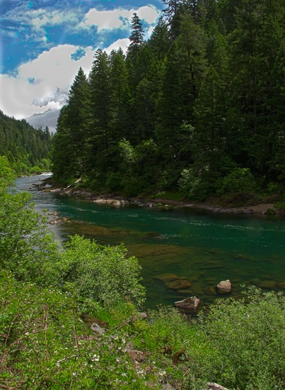 North Umqua River from OR Rte 138