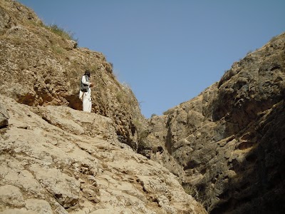 DSCN3933.jpg