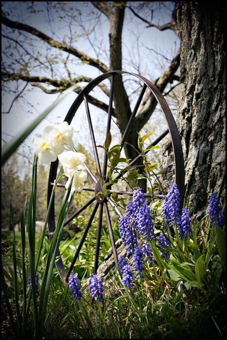 FlowersWheel