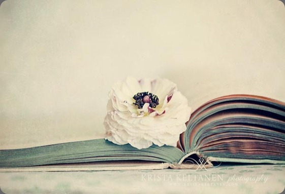 krista keltanen photo and helen powell flowers