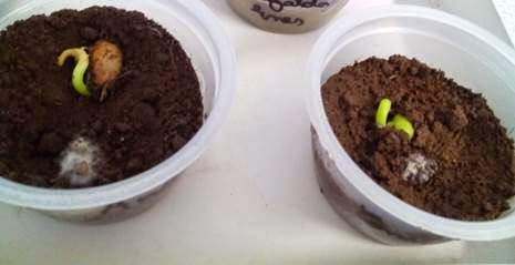 [clip_image002%255B4%255D.jpg]