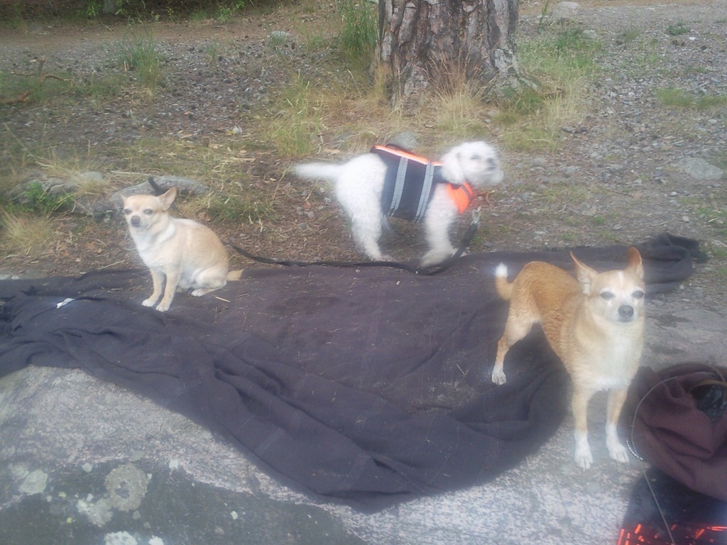 [Foto0633%255B3%255D.jpg]