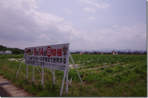 IMGP3928 IMGP3928