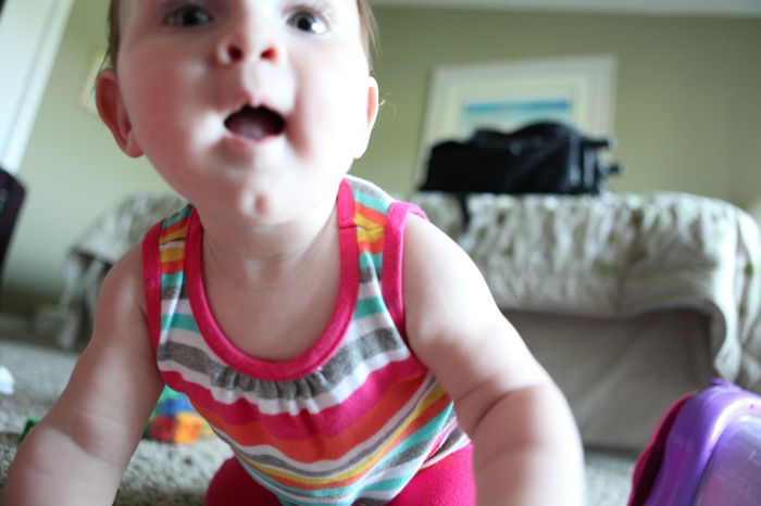 Crawl 4