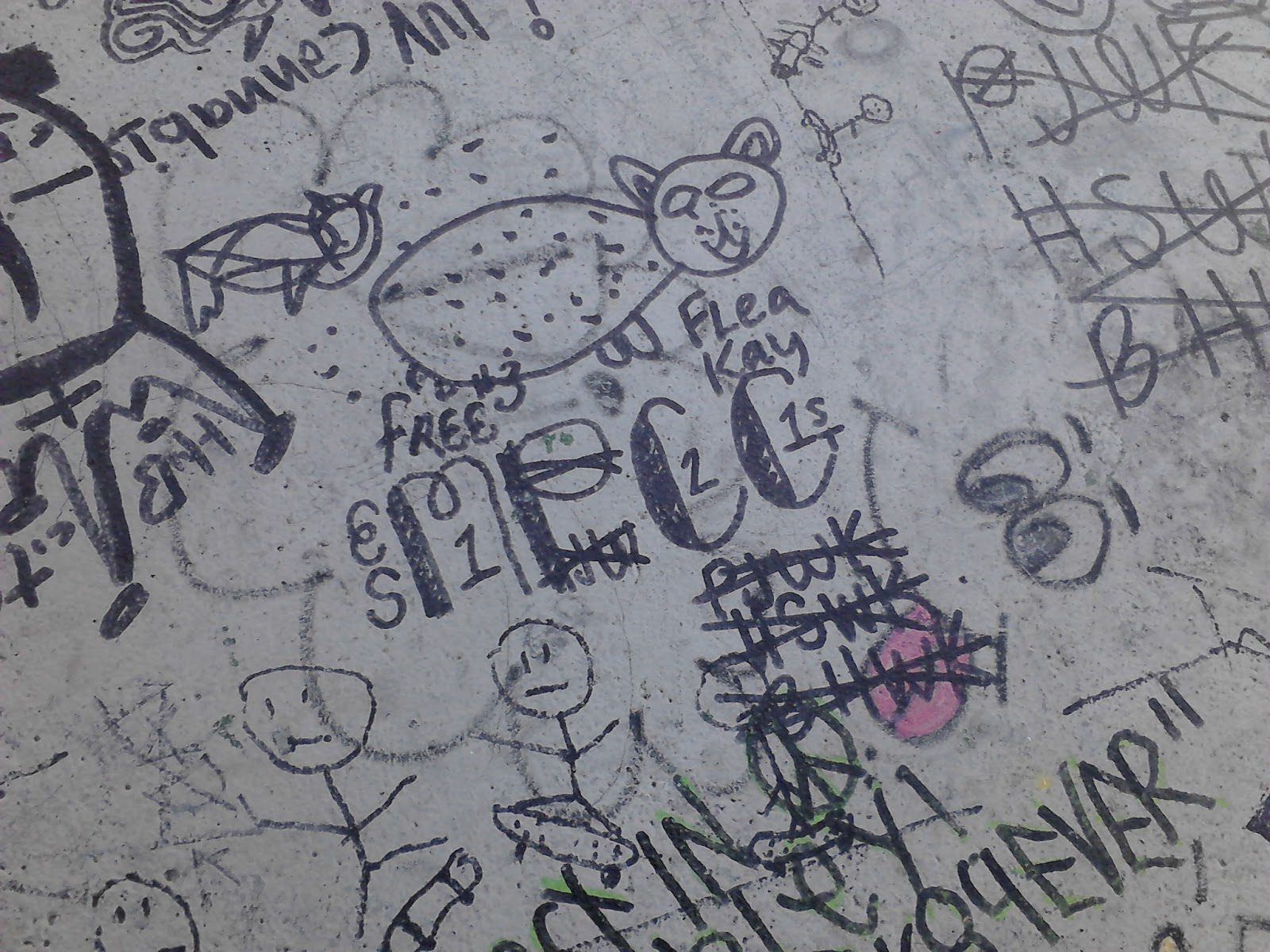crip gangs graffiti Mona park compton crip