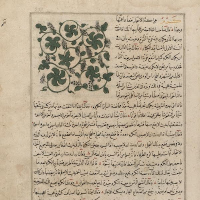 Vine (Karm); folio from a Aja'ib al-makhluqat ("Wonders of Creation") by al-Qazvini | Origin: Iraq or Eastern Turkey | Period: early 15th century Muhammad al-Qazwini (b. Zakariya) c. 1203-1283), | Details: Not Available | Type: Opaque watercolor, ink and gold on paper | Size: H: 32.7 W: 22.4 cm | Museum Code: F1954.79 | Photograph and description taken from Freer and the Sackler (Smithsonian) Museums. 12a805cd07d74355a5894fd9bf5f1b69.jpg