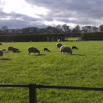 IMAG0044.jpg