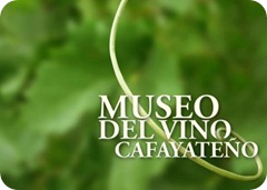 museo del vino cafayate7