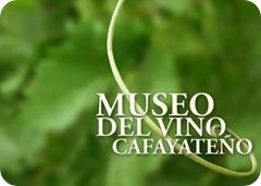 museo del vino cafayate7 museo del vino cafayate7