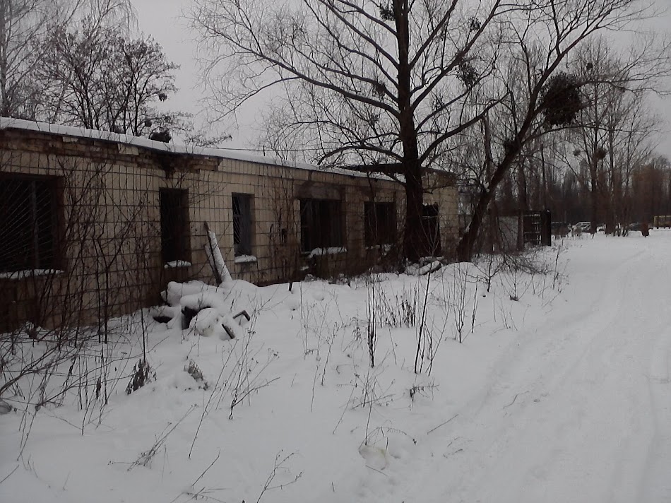 P260211_12.07.jpg