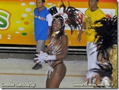 desfileIMG_7470carnaval Santos
