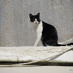 IMG_1166.JPG