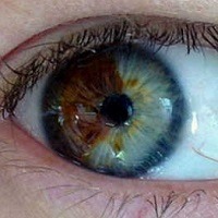 curiosidades interessantes que provavelmente você não sabia 0 curiosidades interessantes que provavelmente você não sabia 0