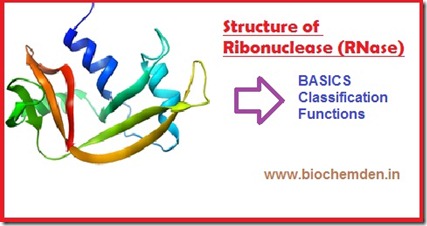 RNase