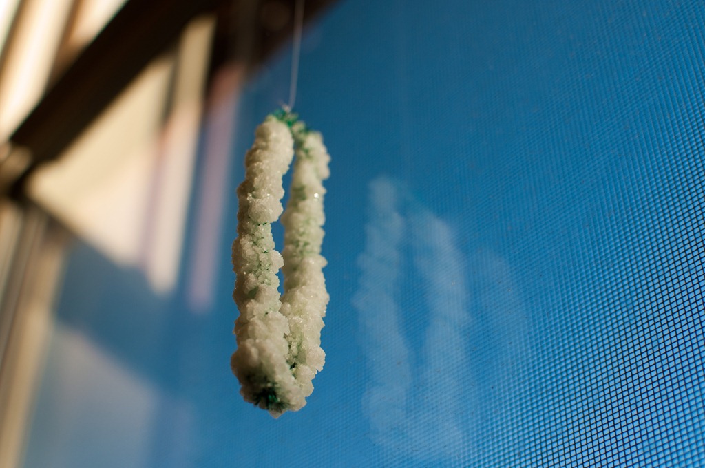 [DSC_7949_16.jpg]