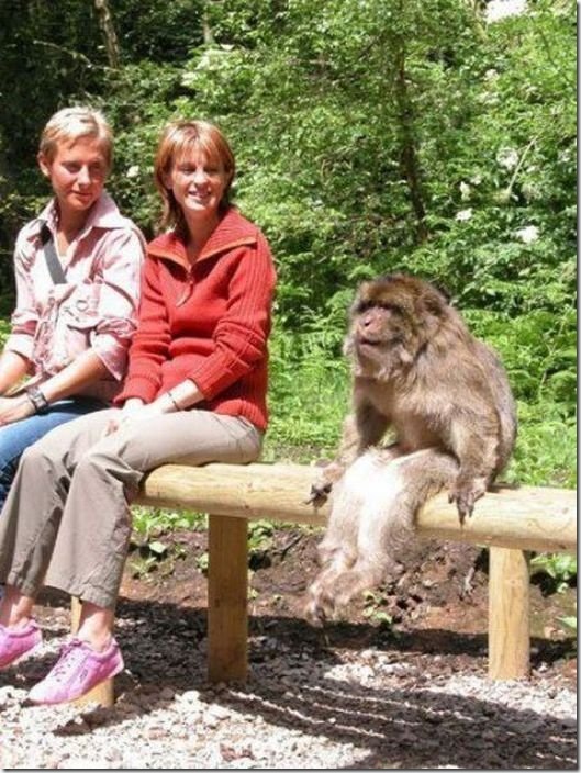 viral-picdump-pics-8d99b4