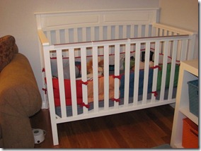 IMG_0445 (2) IMG_0445 (2)