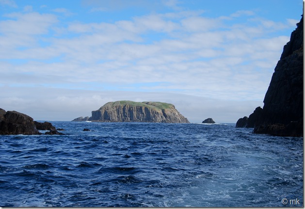 DSC_1389 DSC_1389