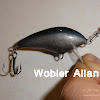 allan2.jpg