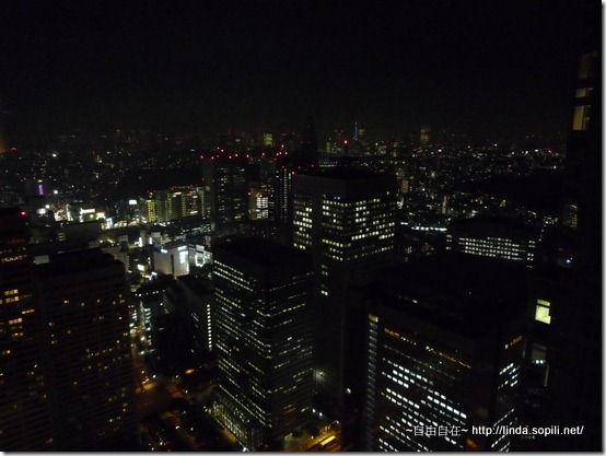 東京都廳-免費夜景2 東京都廳-免費夜景2