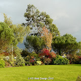 late 2008