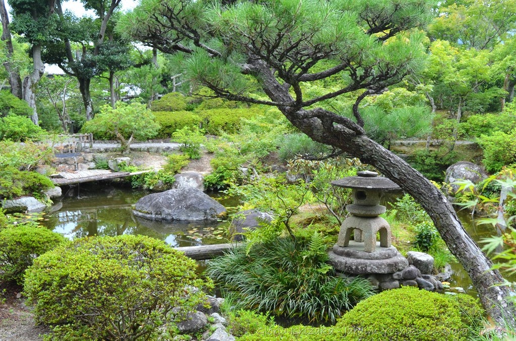 [Gl%25C3%25B3ria%2520Ishizaka%2520-%2520Nara%2520-%2520JP%2520_%25202014%2520-%252019%255B3%255D.jpg]