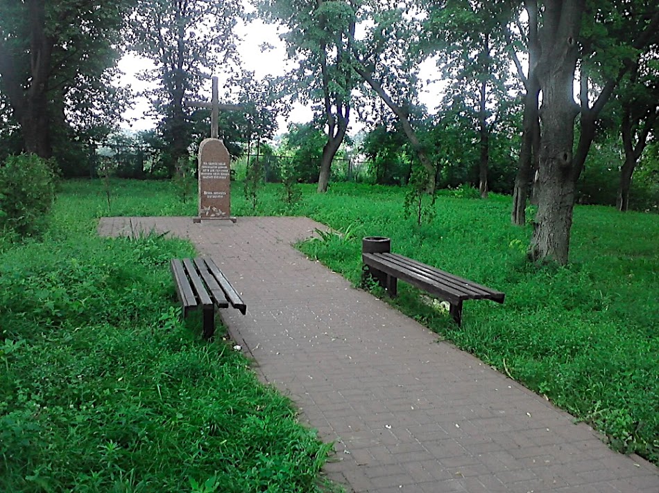 P300711_11.54.jpg