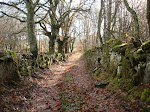 Sendeiro no monte de Cumbraos