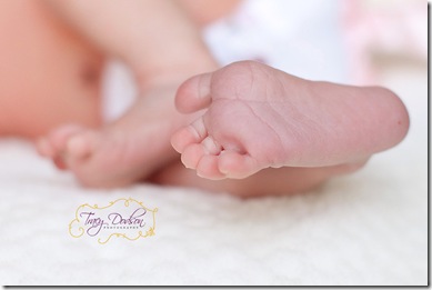 Newborn Baby Temecula Tracy Dodson Photography  001