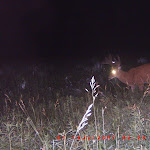 ICAM0046.JPG