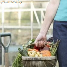 από http://img.ehowcdn.co.uk/article-page-main/ehow/images/a07/f8/3q/much-plant-small-garden-plot-800x800.jpg image