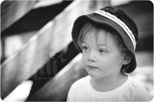 DSC_4742 DSC_4742