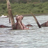 Congo