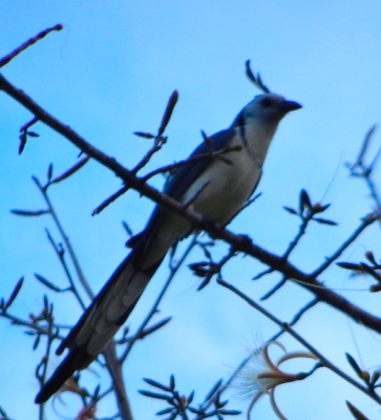 DSCN9892.jpg DSCN9892