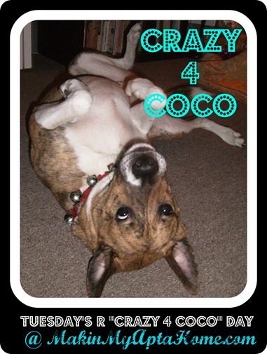 [crazy%25204%2520coco%2520log0_thumb%255B2%255D%255B6%255D.jpg]